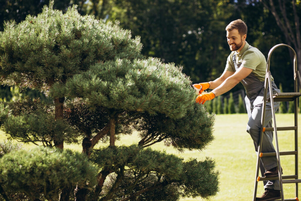 garden-worker-trimming-trees-with-scissors-yard